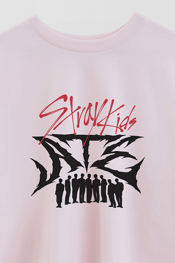 REMERA CROP ESTAMPADA SKZ 14