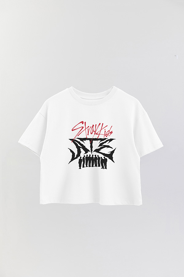 REMERA CROP ESTAMPADA SKZ 14