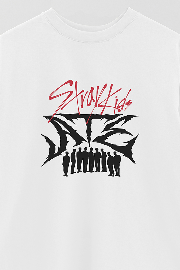 REMERA OVER ESTAMPADA SKZ 14