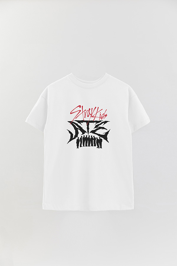 REMERA OVER ESTAMPADA SKZ 14