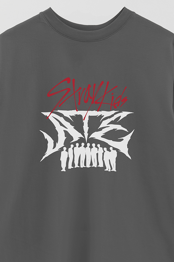 REMERA OVER ESTAMPADA SKZ 14