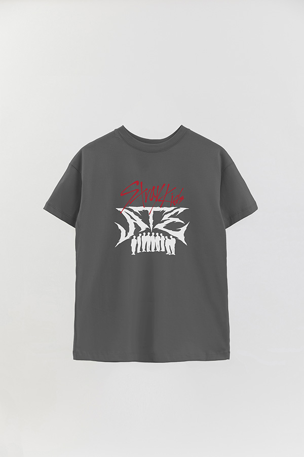 REMERA OVER ESTAMPADA SKZ 14