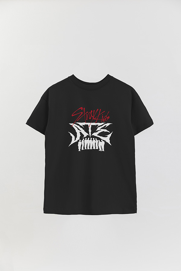 REMERA OVER ESTAMPADA SKZ 14