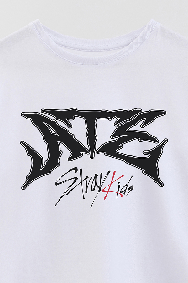 REMERA KID OVERSIZE SKZ 15