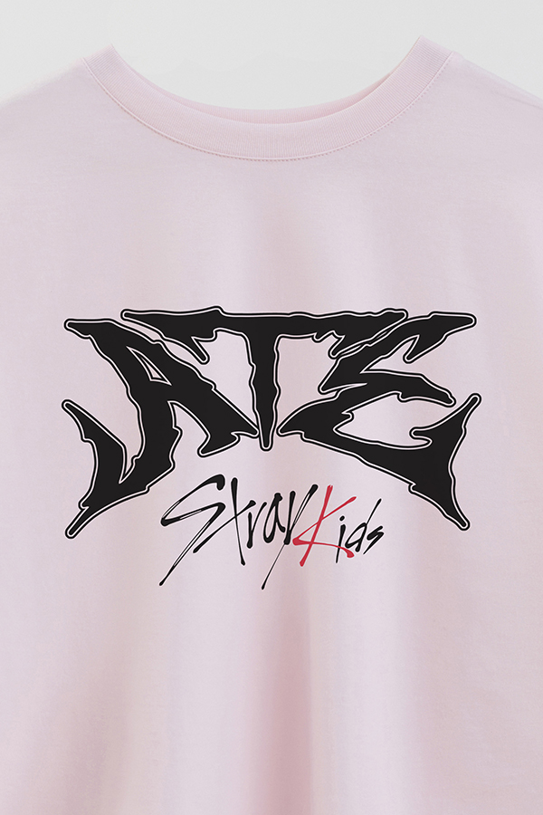 REMERA CROP ESTAMPADA SKZ 15