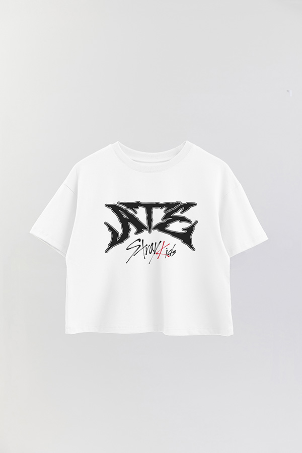 REMERA CROP ESTAMPADA SKZ 15