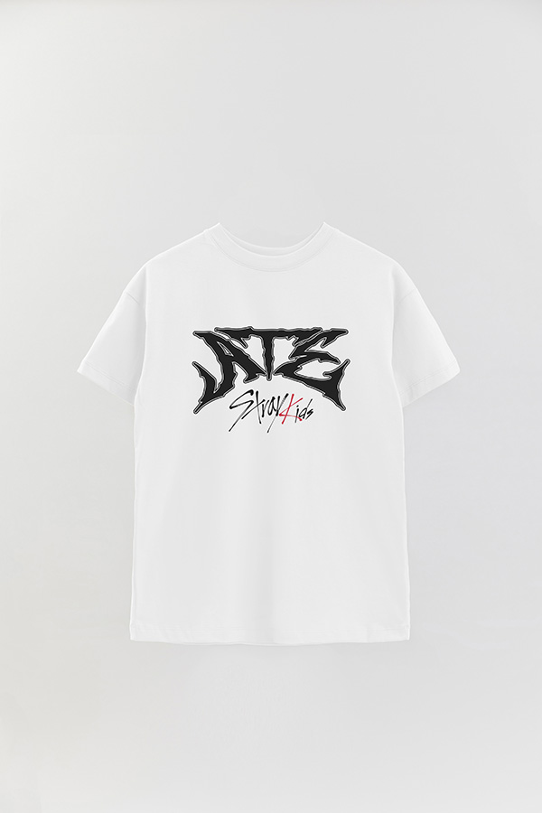 REMERA OVER ESTAMPADA SKZ 15