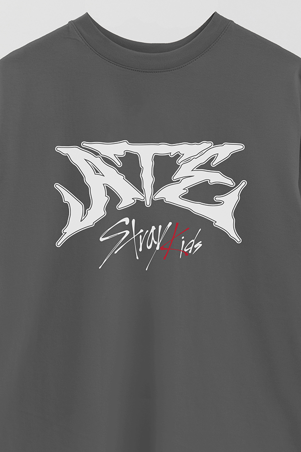 REMERA OVER ESTAMPADA SKZ 15
