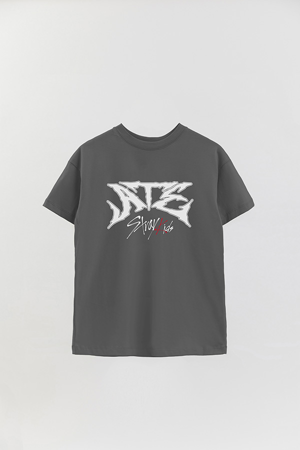 REMERA OVER ESTAMPADA SKZ 15