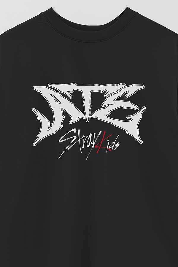 REMERA OVER ESTAMPADA SKZ 15
