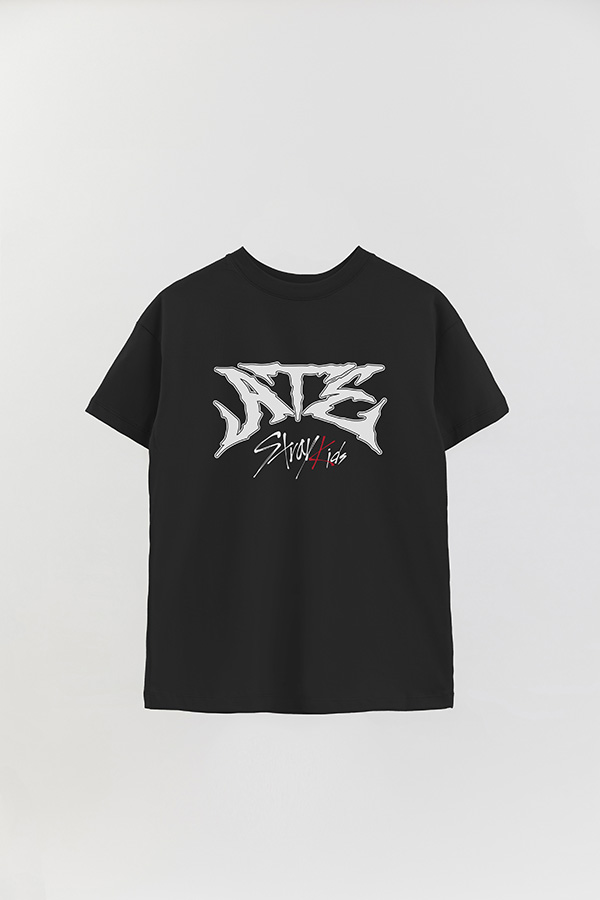 REMERA OVER ESTAMPADA SKZ 15