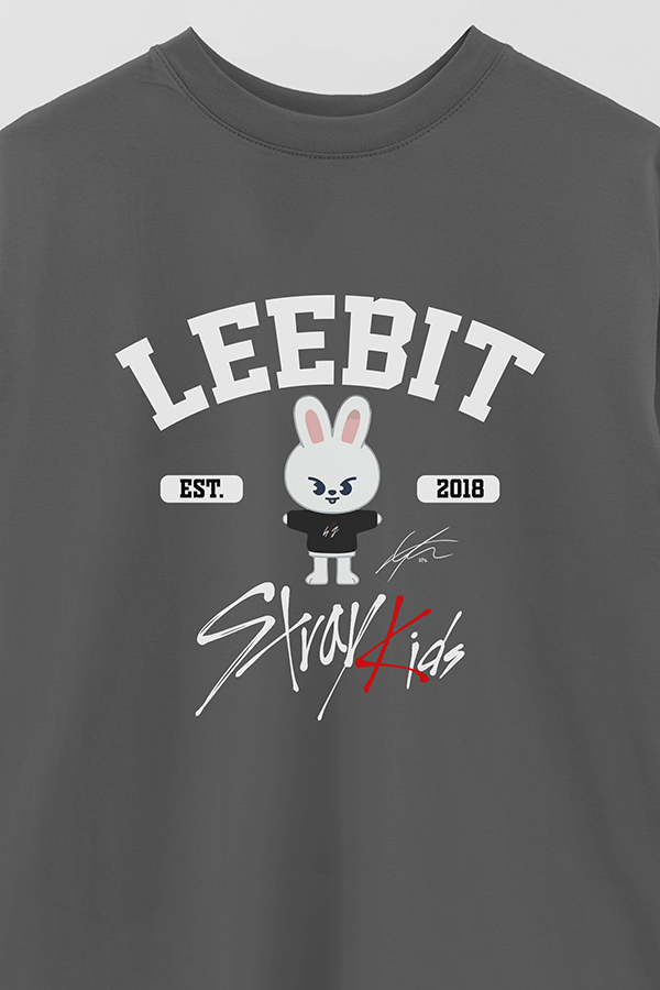 REMERA OVER ESTAMPADA SKZ00 LEEBIT