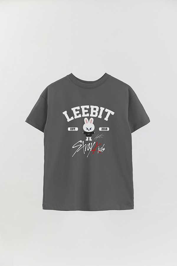 REMERA OVER ESTAMPADA SKZ00 LEEBIT