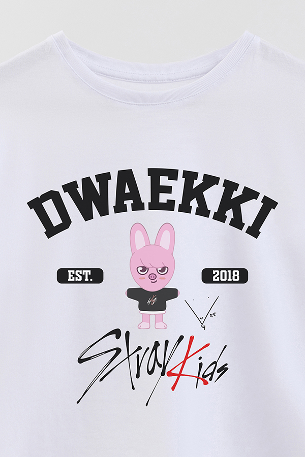 REMERA KID OVERSIZE SKZOO DAWEKKI