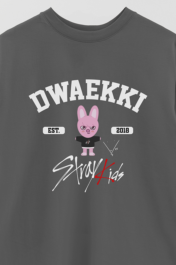 REMERA OVER ESTAMPADA SKZ00 DWAEKKI