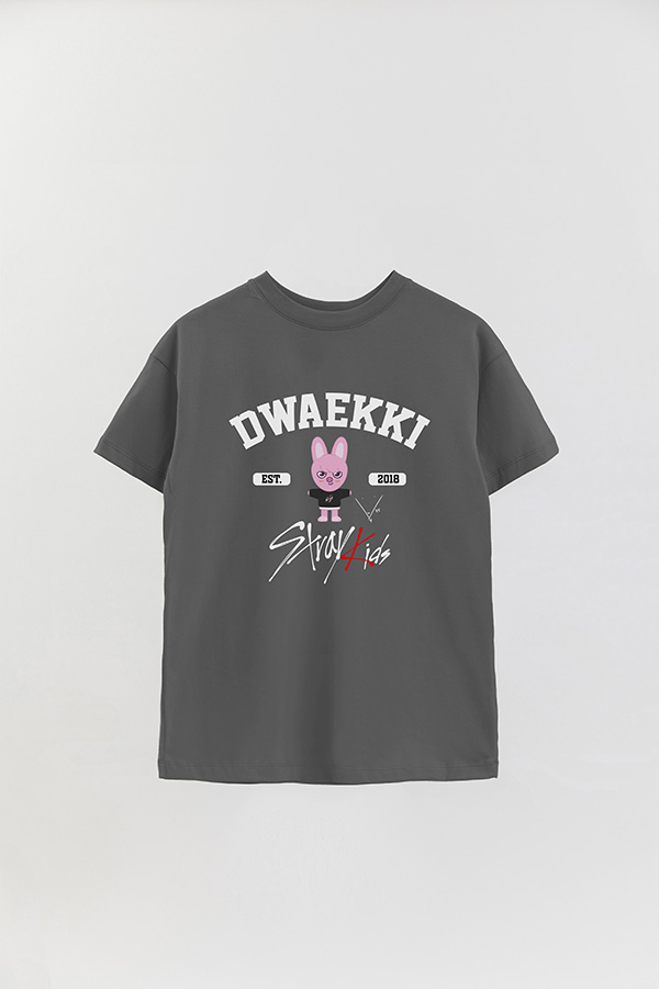REMERA OVER ESTAMPADA SKZ00 DWAEKKI