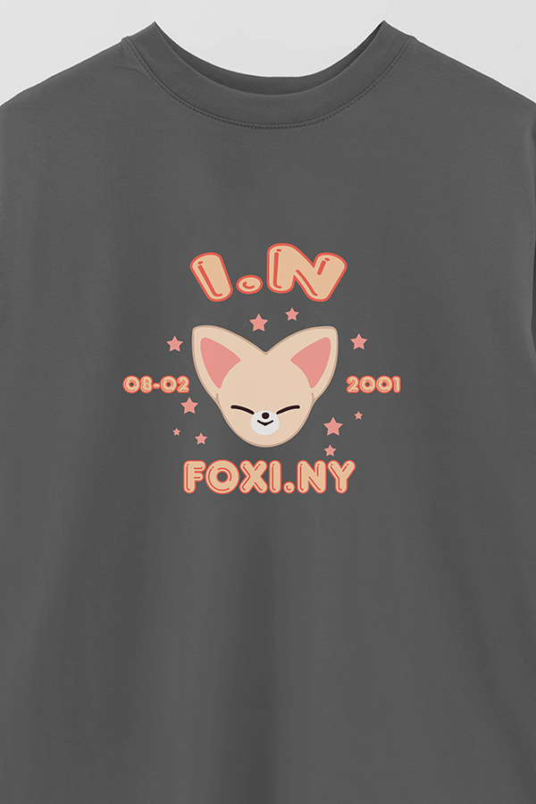 REMERA OVER ESTAMPADA SKZOO6 I.N