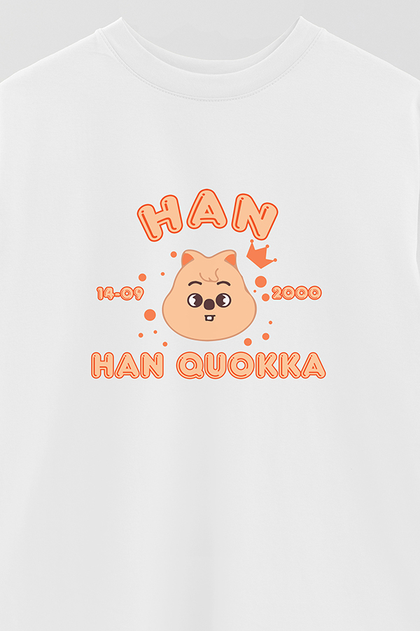 REMERA OVER ESTAMPADA SKZOO6 HAN