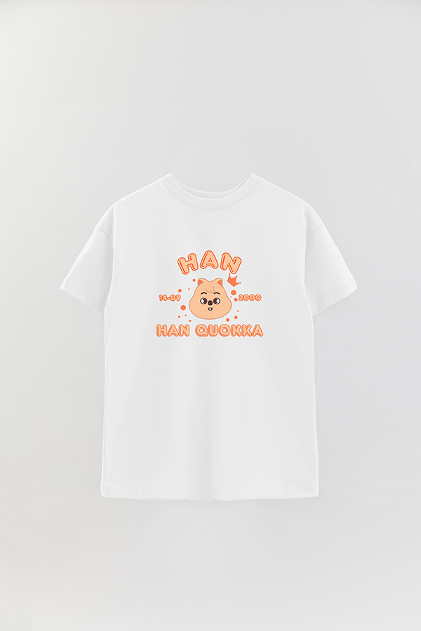 REMERA OVER ESTAMPADA SKZOO6 HAN