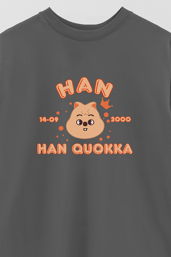REMERA OVER ESTAMPADA SKZOO6 HAN