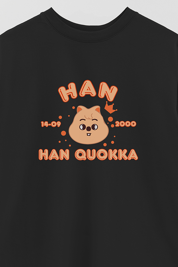 REMERA OVER ESTAMPADA SKZOO6 HAN