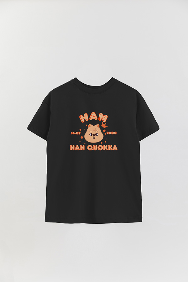 REMERA OVER ESTAMPADA SKZOO6 HAN