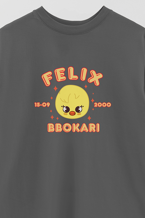 REMERA OVER ESTAMPADA SKZOO6 FELIX
