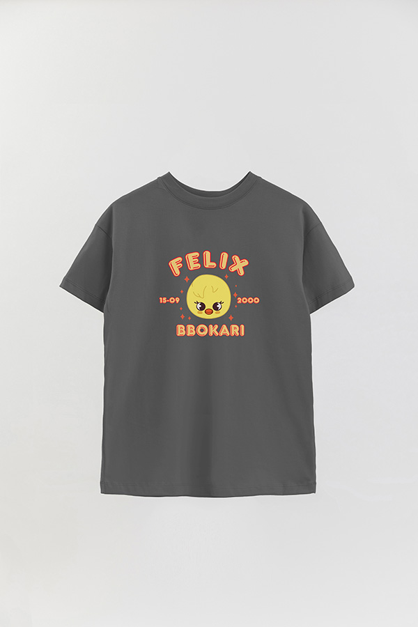 REMERA OVER ESTAMPADA SKZOO6 FELIX