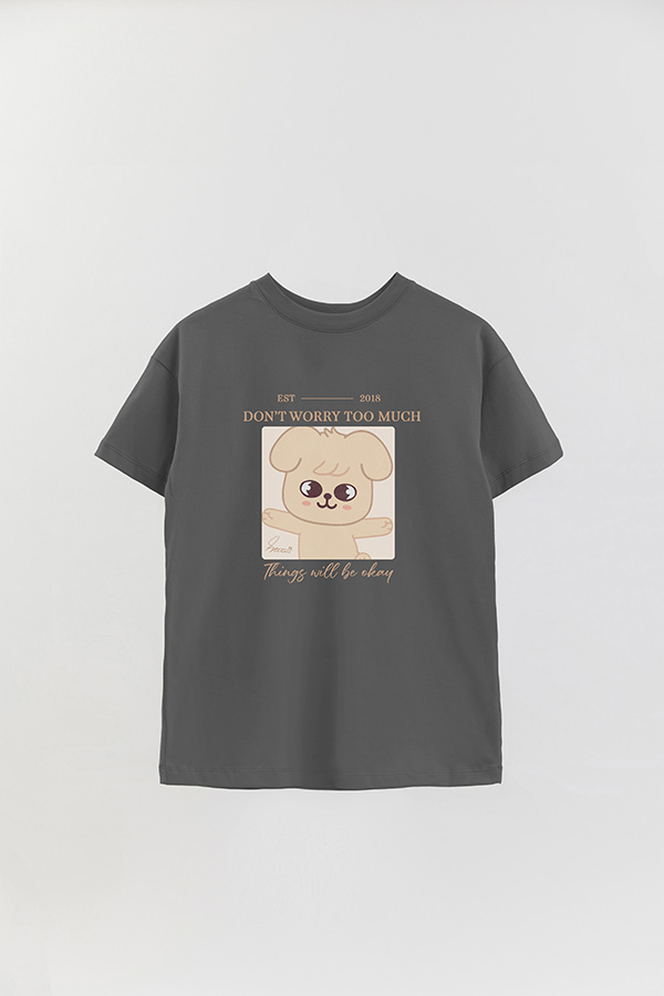 REMERA OVER ESTAMPADA SKZOO4 SEUNGMIN
