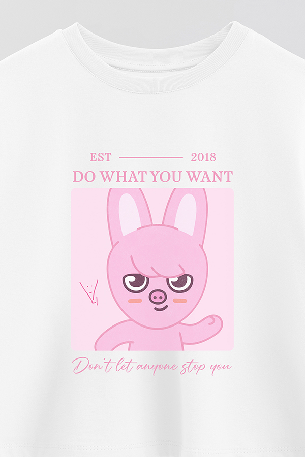 REMERA CROP ESTAMPADA SKZOO4 CHANGBIN