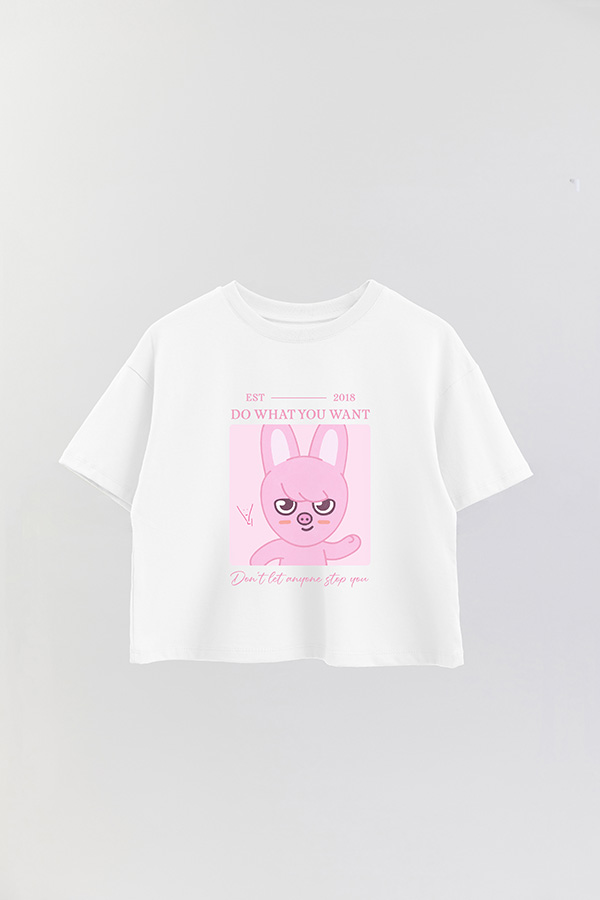 REMERA CROP ESTAMPADA SKZOO4 CHANGBIN