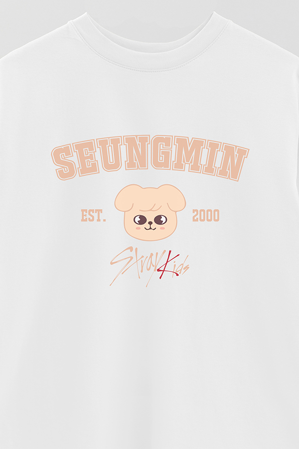 REMERA OVER ESTAMPADA SKZOO3 SEUNGMIN