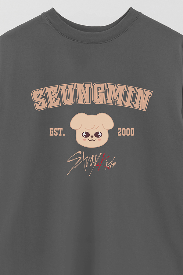 REMERA OVER ESTAMPADA SKZOO3 SEUNGMIN