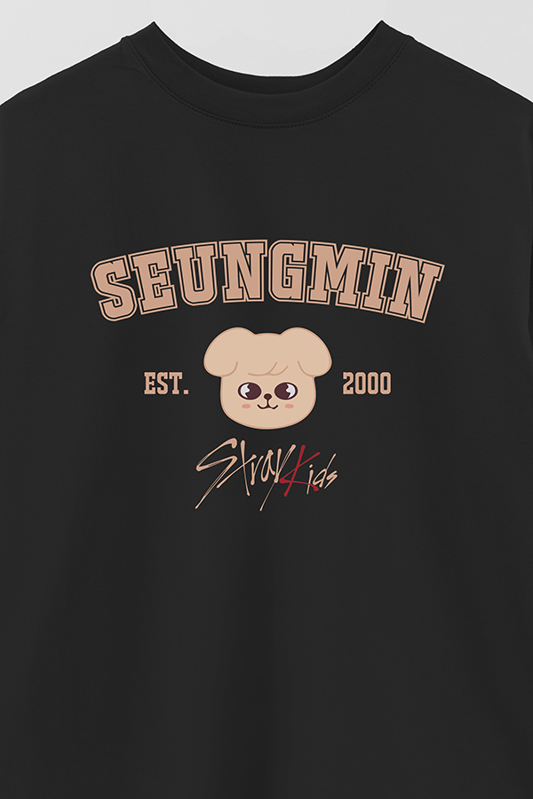 REMERA OVER ESTAMPADA SKZOO3 SEUNGMIN