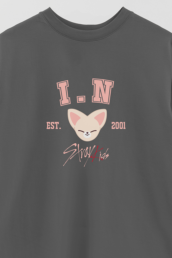 REMERA OVER ESTAMPADA SKZOO3 I.N