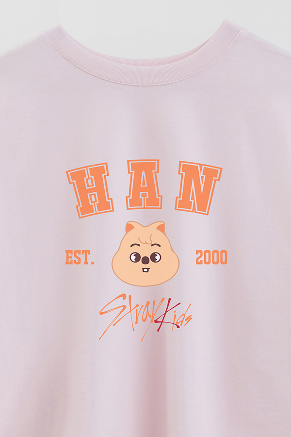 REMERA CROP ESTAMPADA SKZOO3 HAN