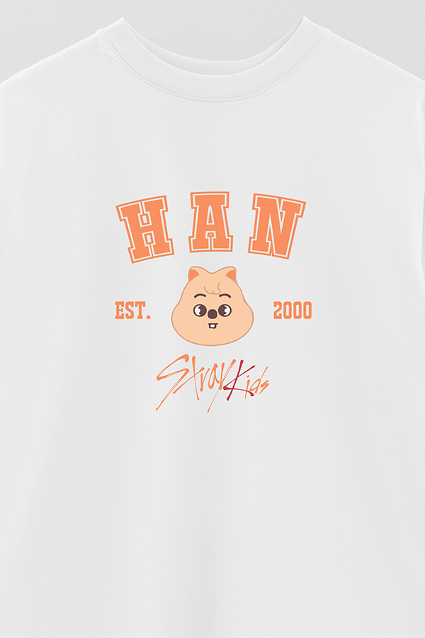 REMERA OVER ESTAMPADA SKZOO3 HAN