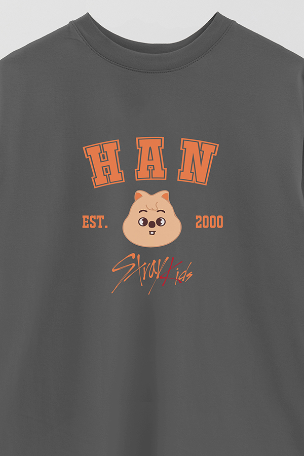 REMERA OVER ESTAMPADA SKZOO3 HAN