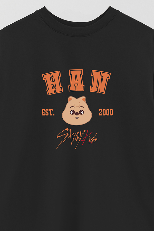 REMERA OVER ESTAMPADA SKZOO3 HAN