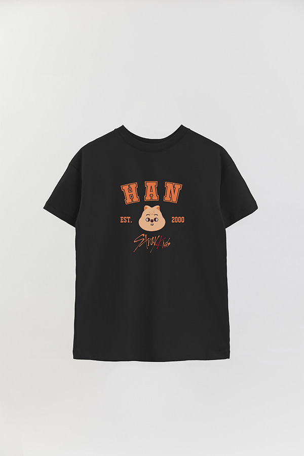 REMERA OVER ESTAMPADA SKZOO3 HAN