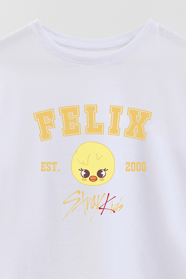 REMERA KID OVERSIZE SKZOO3 FELIX