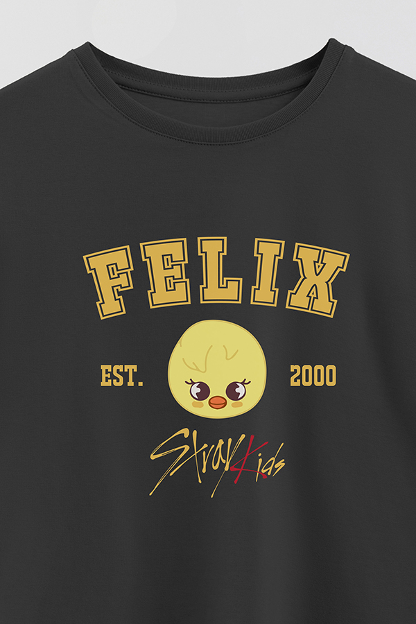 REMERA KID OVERSIZE SKZOO3 FELIX
