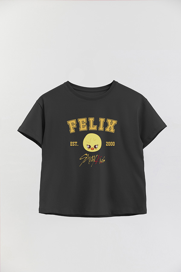 REMERA KID OVERSIZE SKZOO3 FELIX