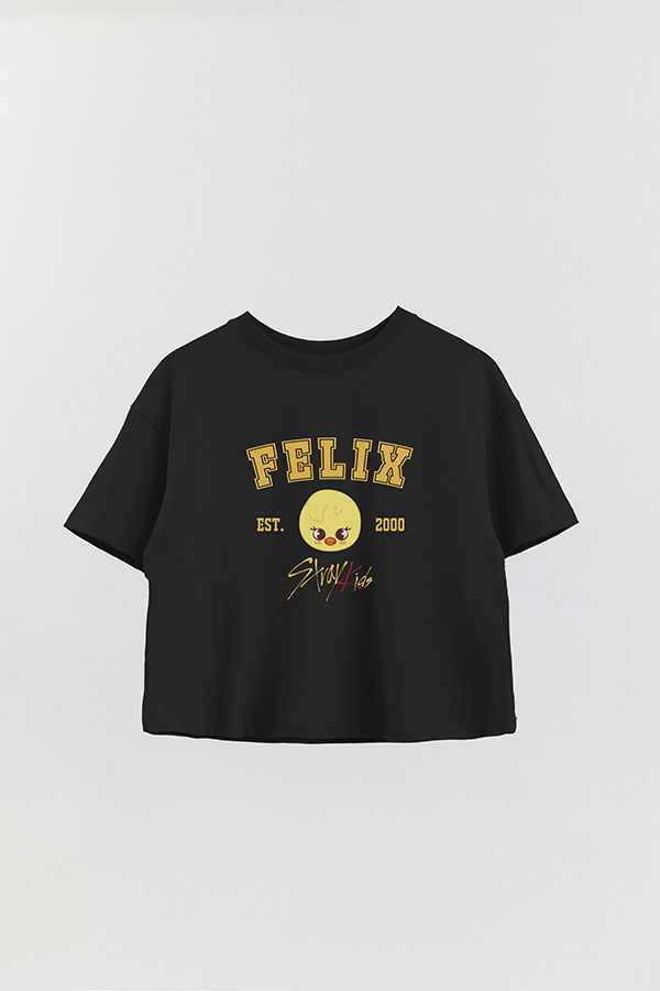 REMERA CROP ESTAMPADA SKZOO3 FELIX