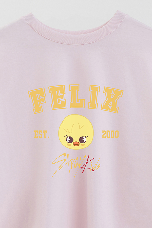 REMERA CROP ESTAMPADA SKZOO3 FELIX