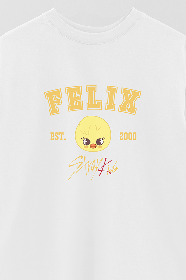 REMERA OVER ESTAMPADA SKZOO3 FELIX