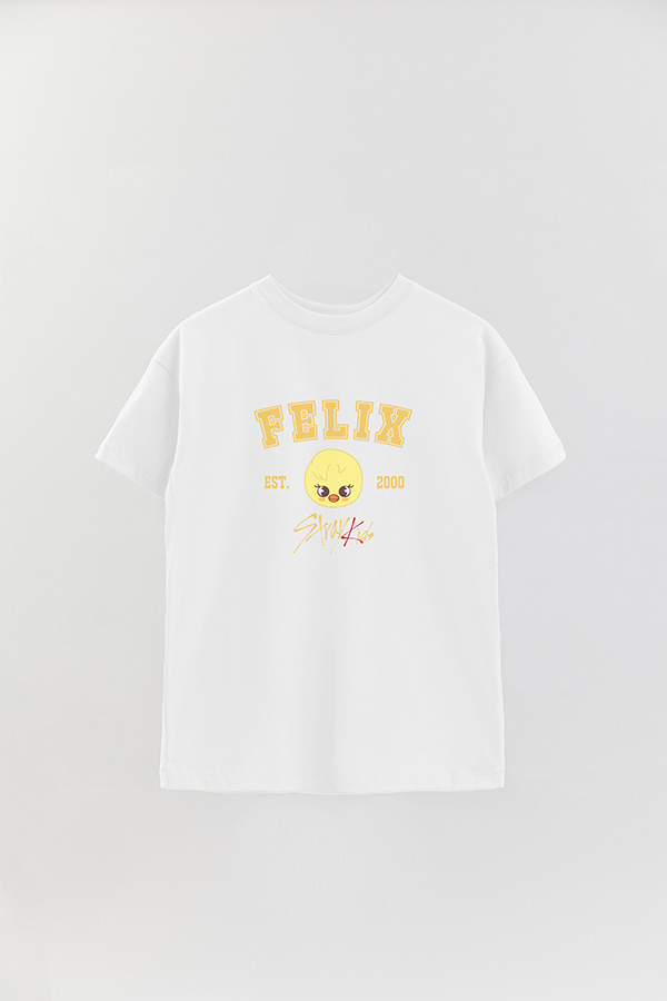 REMERA OVER ESTAMPADA SKZOO3 FELIX