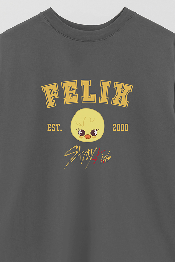 REMERA OVER ESTAMPADA SKZOO3 FELIX