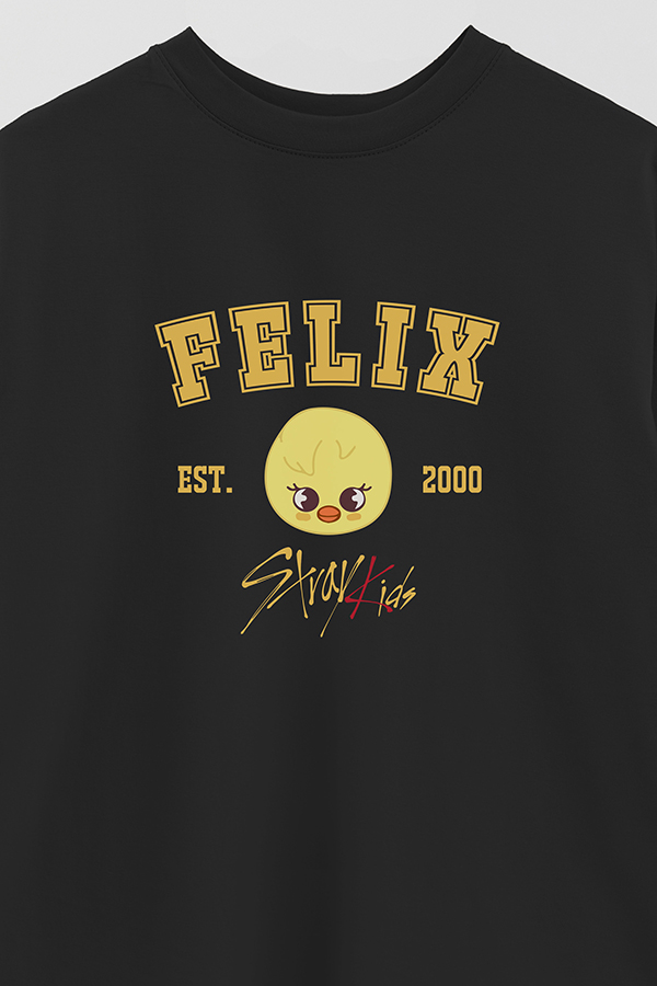 REMERA OVER ESTAMPADA SKZOO3 FELIX