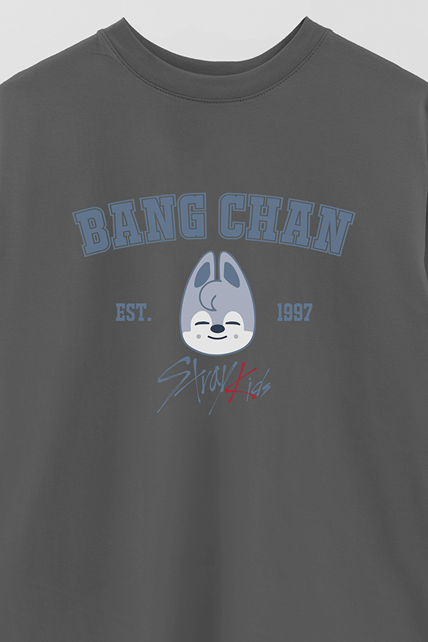 REMERA OVER ESTAMPADA SKZOO3 BANGCHAN
